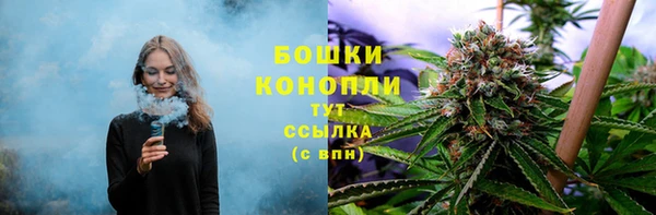 стафф Куйбышев