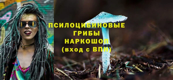герыч Кулебаки