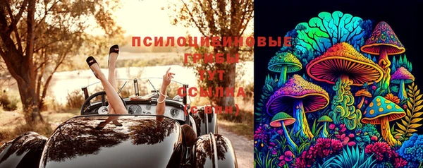 стафф Куйбышев
