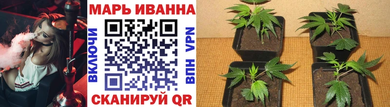 ОМГ ОМГ ссылки  Спас-Деменск  Конопля сатива  хочу  